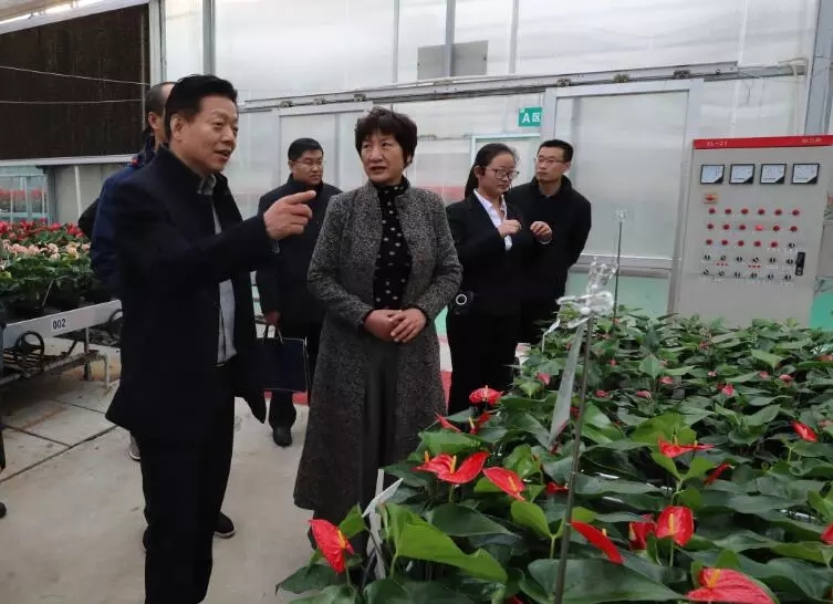 640.webp (20).jpg 640.webp (20).jpg