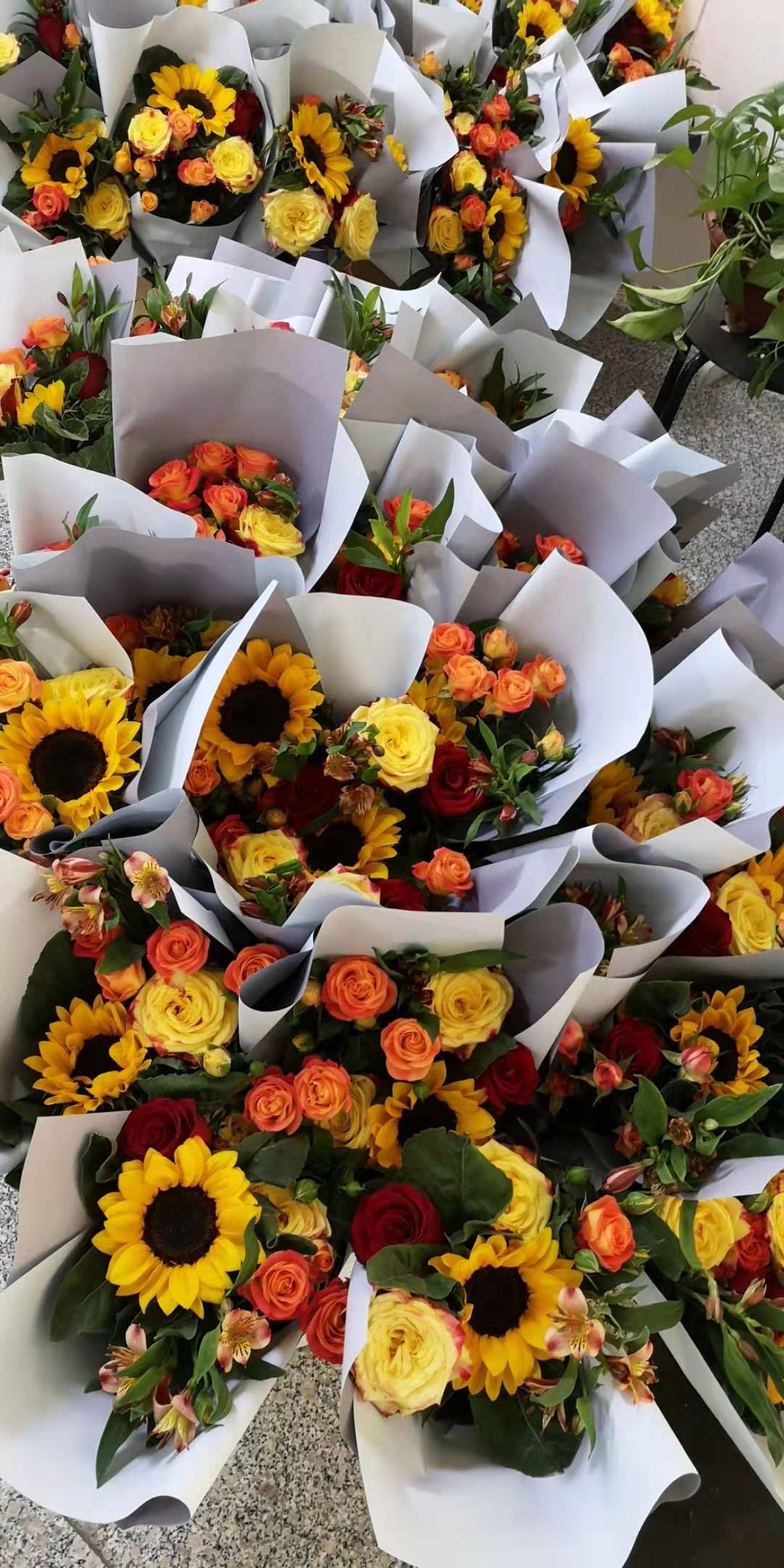 图片3.jpg 图片3.jpg