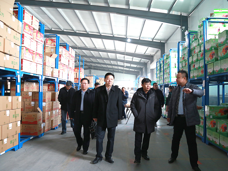 图片2.jpg 图片2.jpg