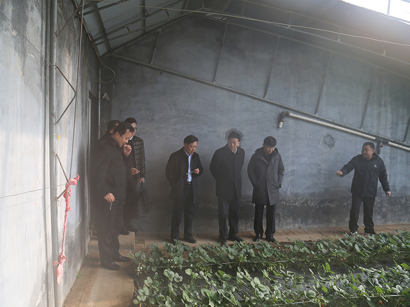 图片8.jpg 图片8.jpg