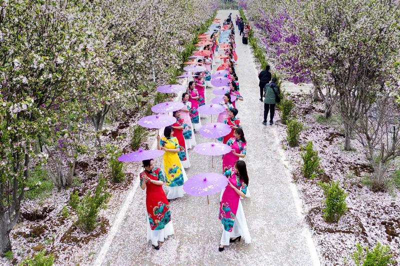 微信图片_20210412140022.jpg 微信图片_20210412140022.jpg