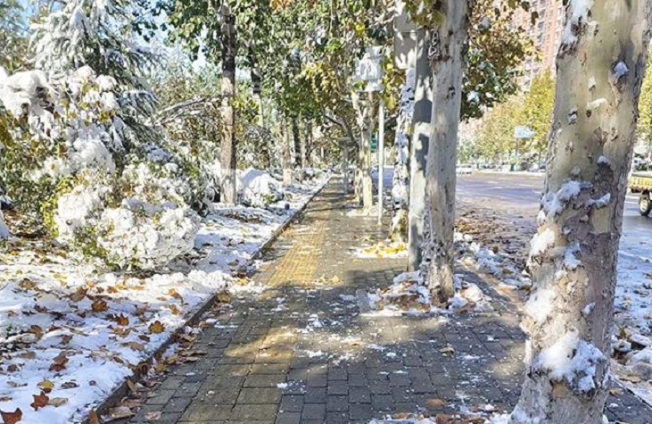 微信图片_20211123165026.jpg 微信图片_20211123165026.jpg