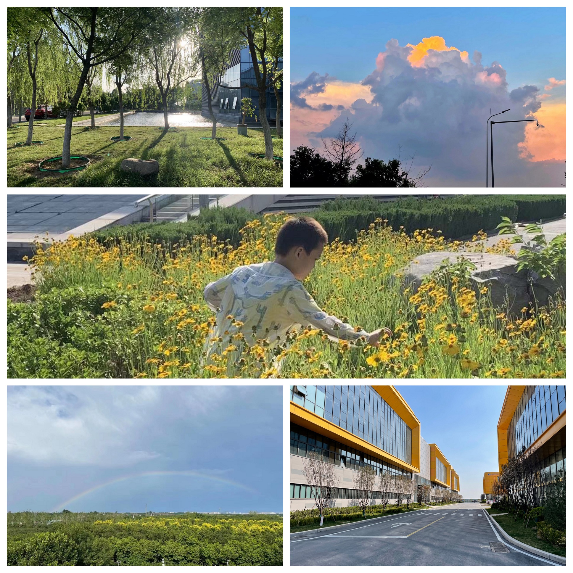 1659510994342732.jpg 1659510994342732.jpg