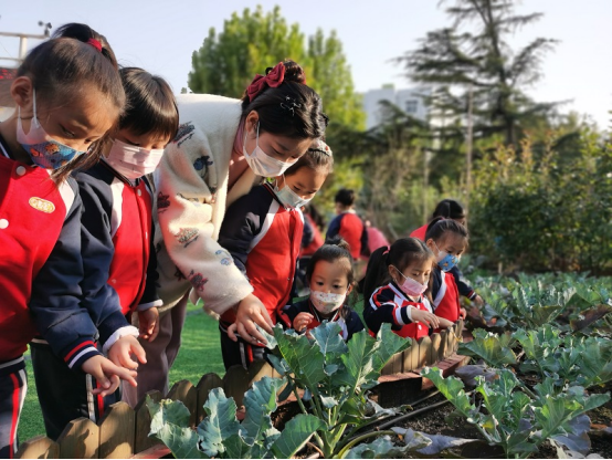 1667550183429583.png 1667550183429583.png