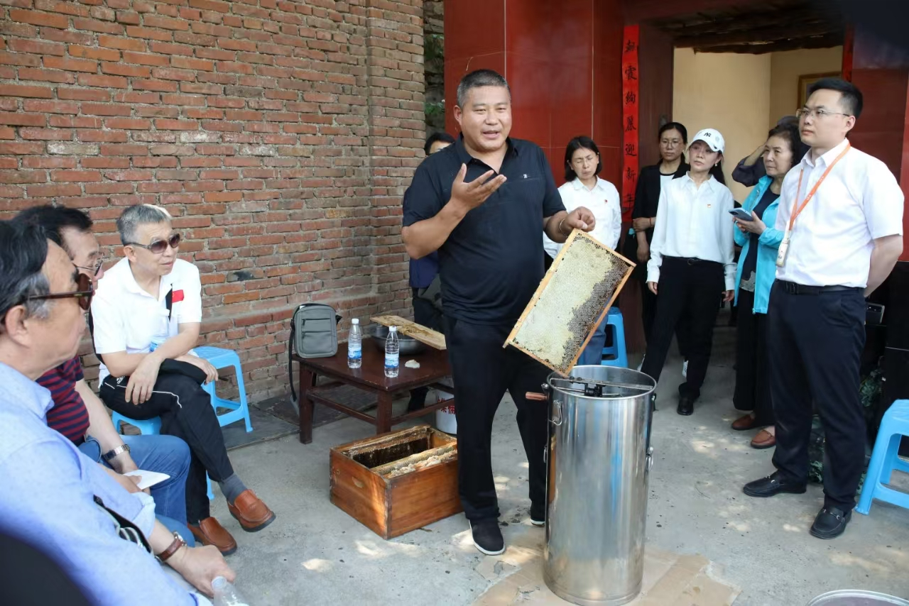 1716194462438251.png 1716194462438251.png