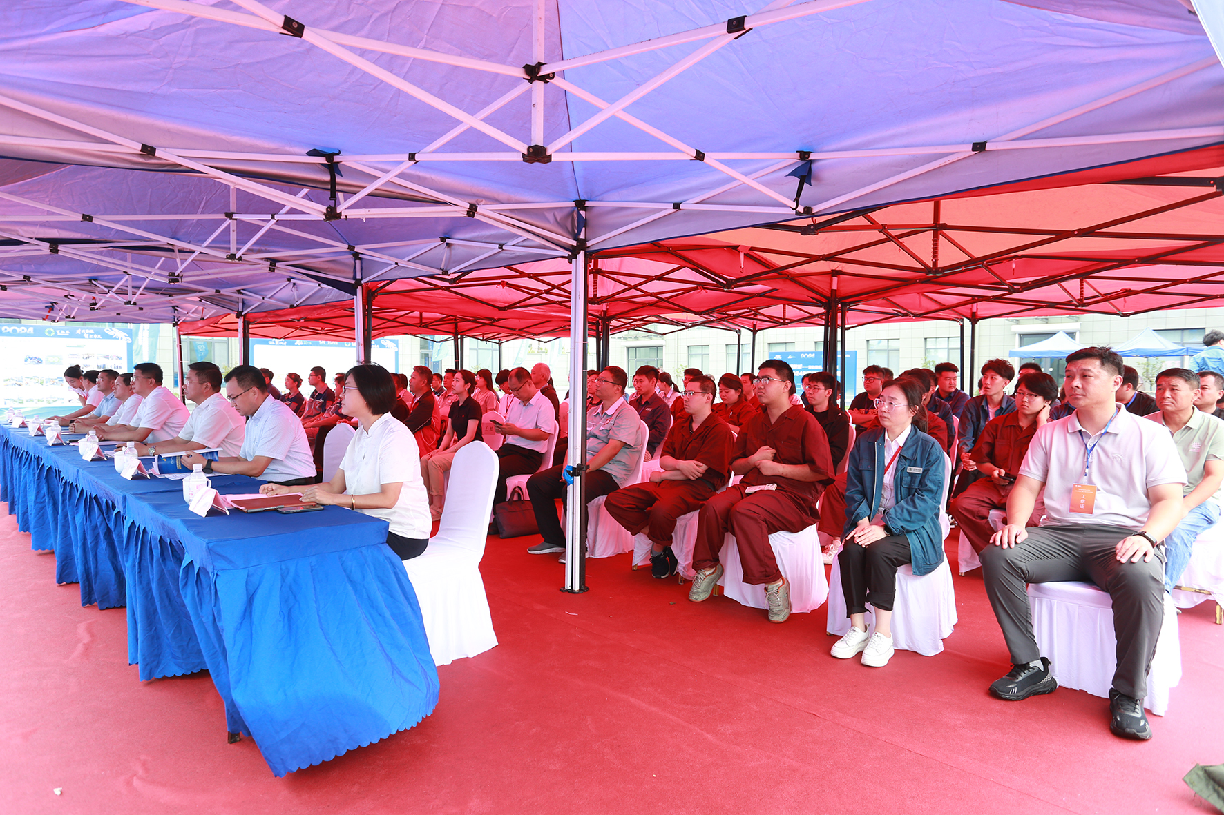 1722142261892392.jpg 17.jpg