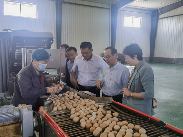 1727262886405011.png 图片5.png