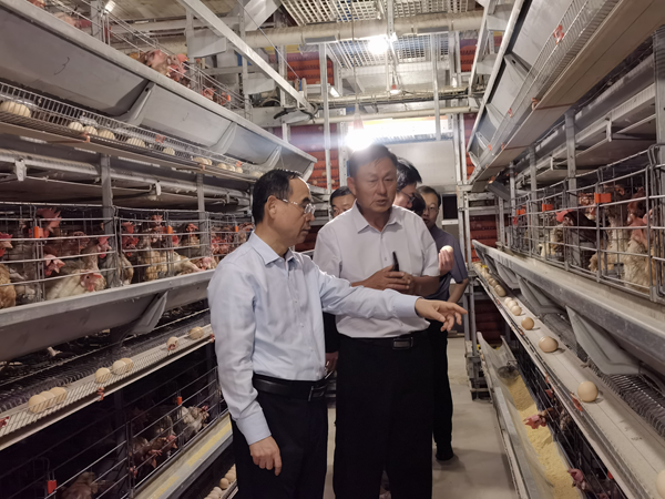 1727262917865940.png 图片6.png