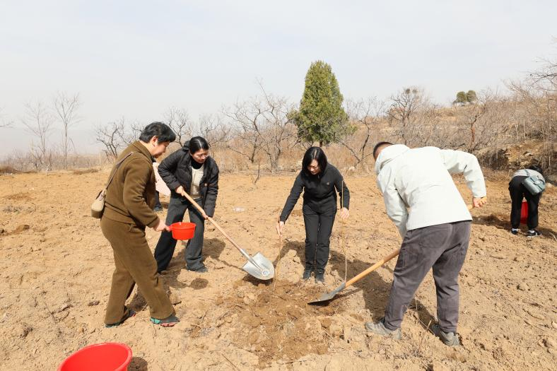 1741767490930353.png 1741767490930353.png