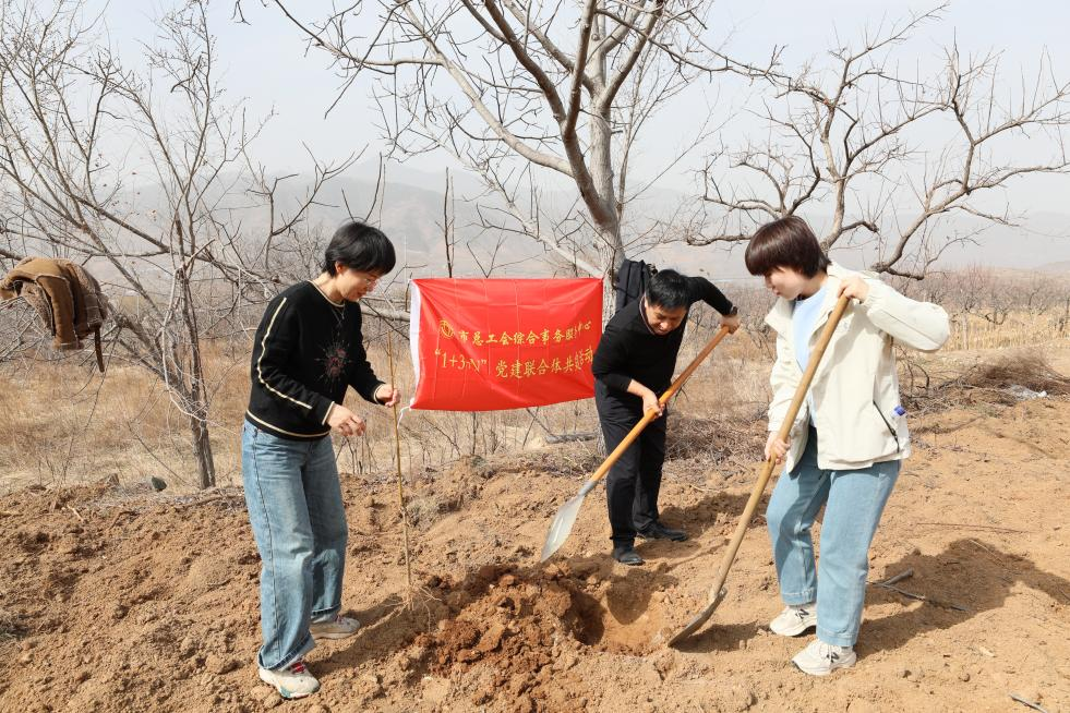 1741767501377979.png 1741767501377979.png