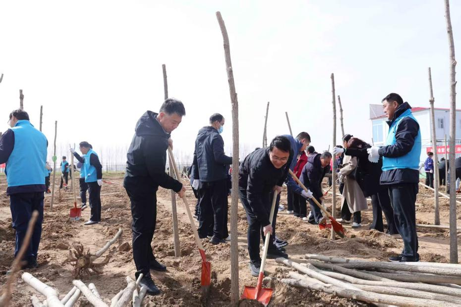 1741768908365996.png 1741768908365996.png