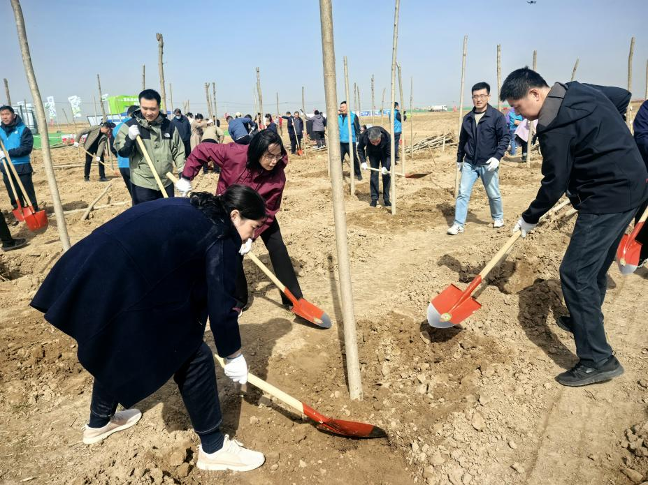 1741768913112786.png 1741768913112786.png