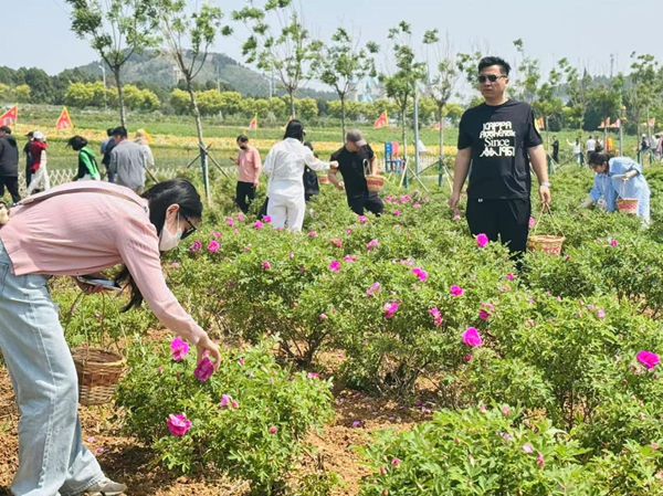 1746521686237378.png 图片11.png