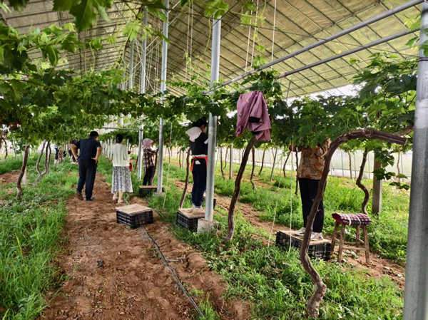 1759131663364655.png 图片9.png