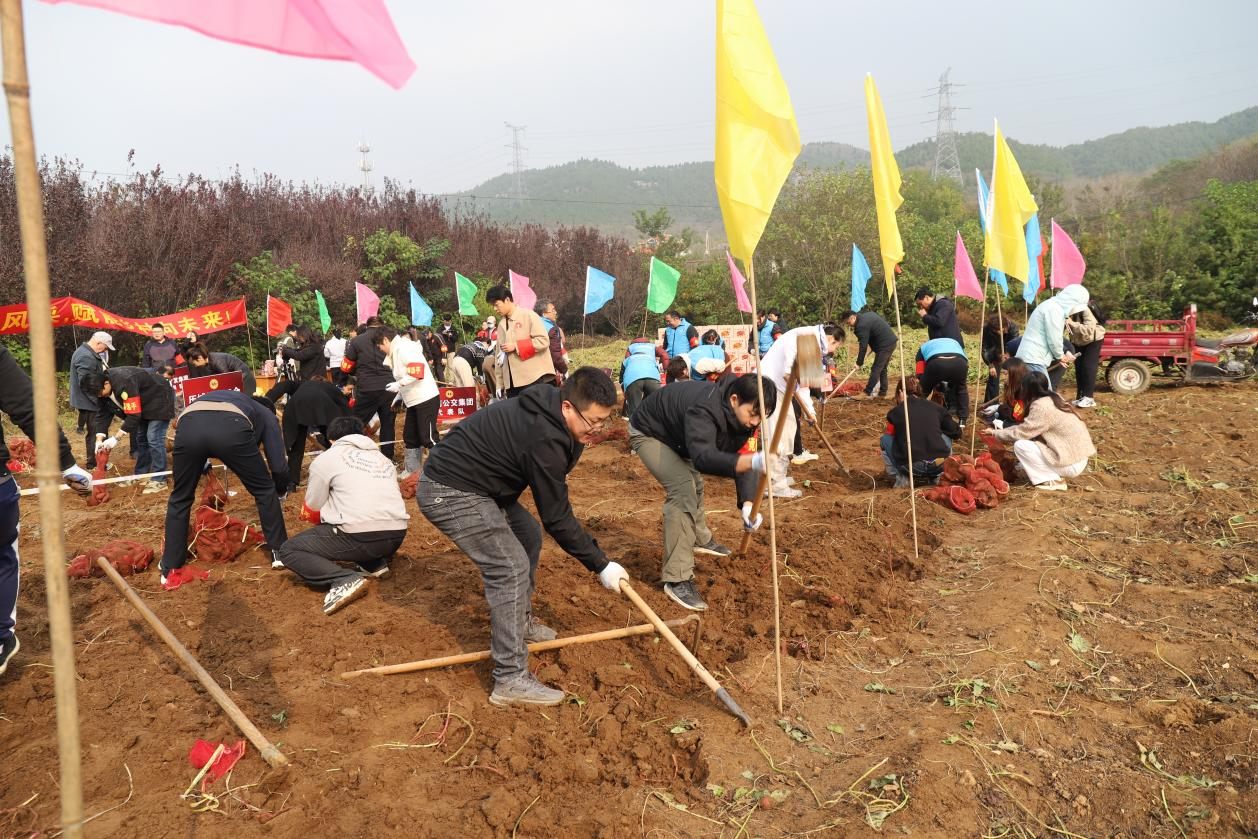 1761894704121929.png 1761894704121929.png