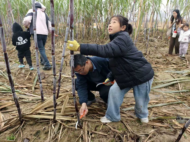 1762744716492984.jpg 图片6.jpg